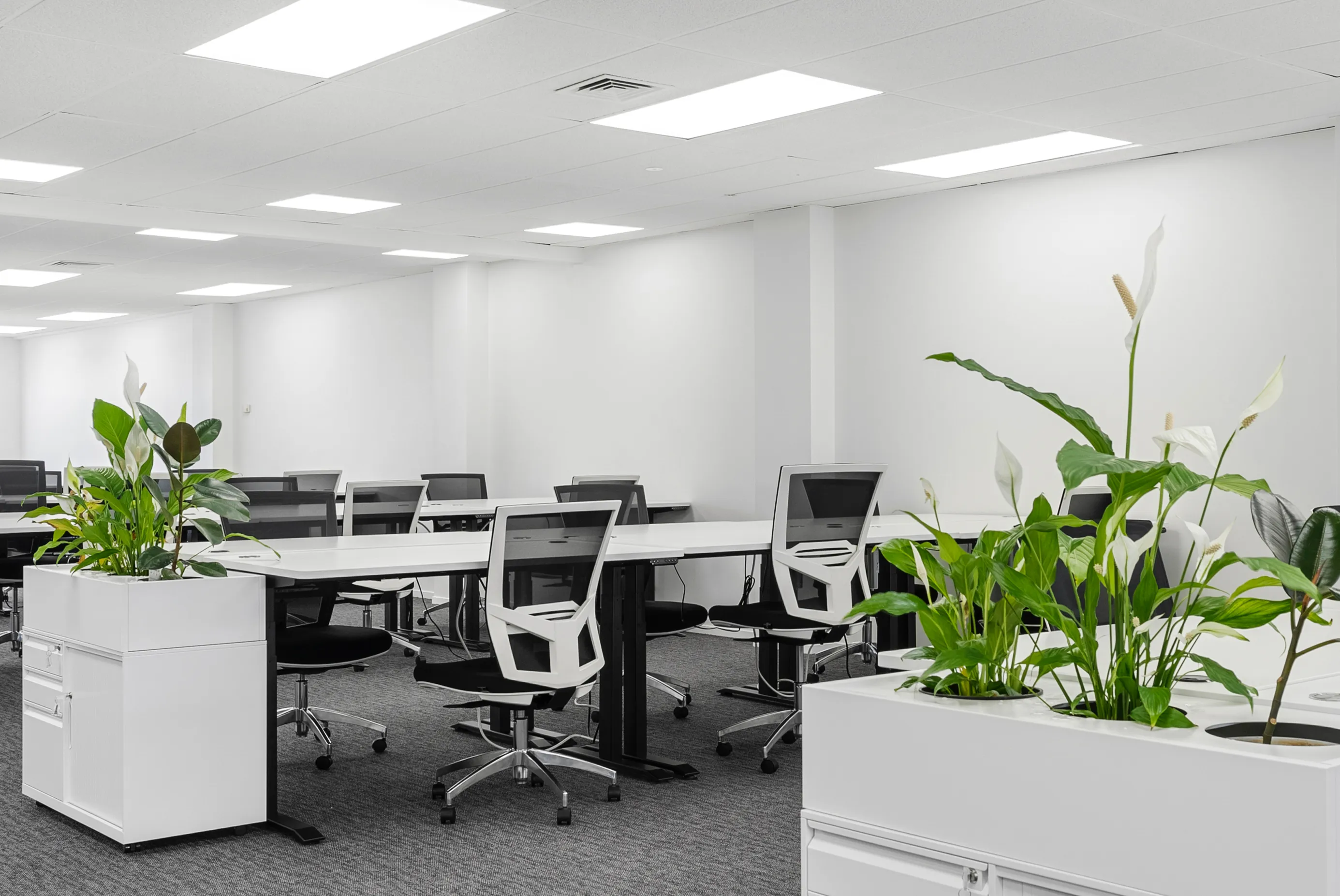 Thinkspace Papakura Office Greenery and Planters