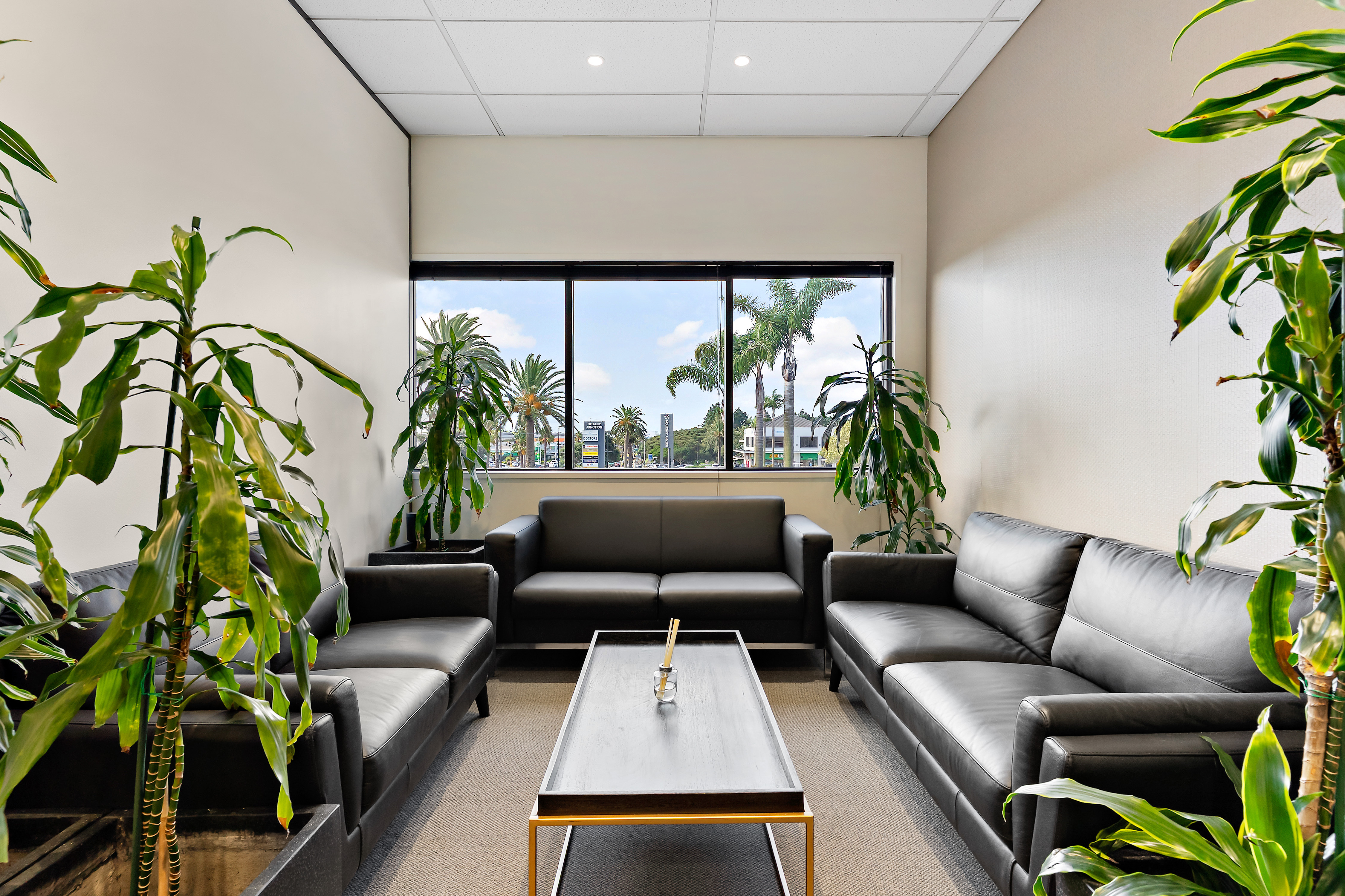 Thinkspace Botany comfortable lounge and breakout area with leather sofas and indoor plants