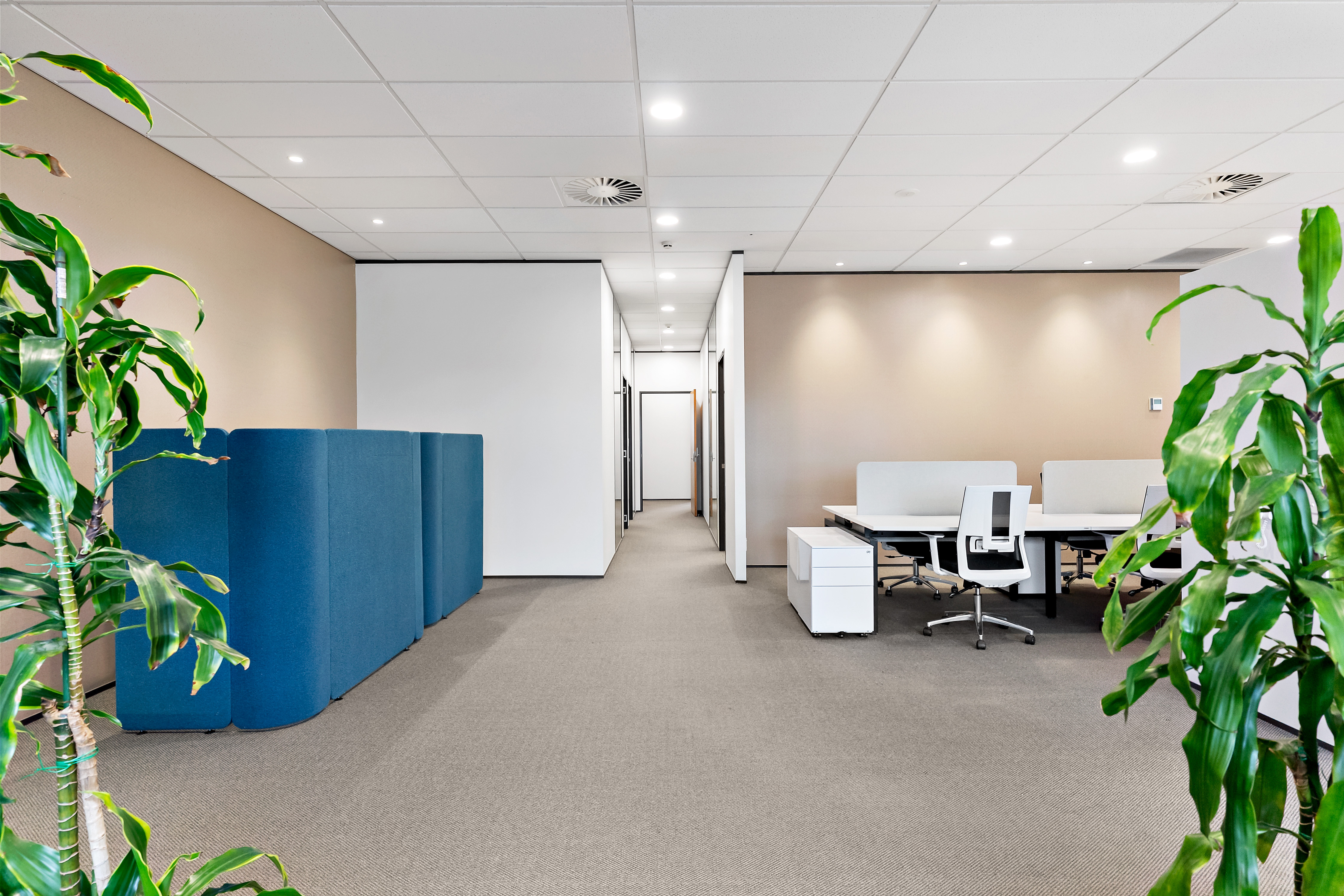Thinkspace Botany wide angle open plan office floor