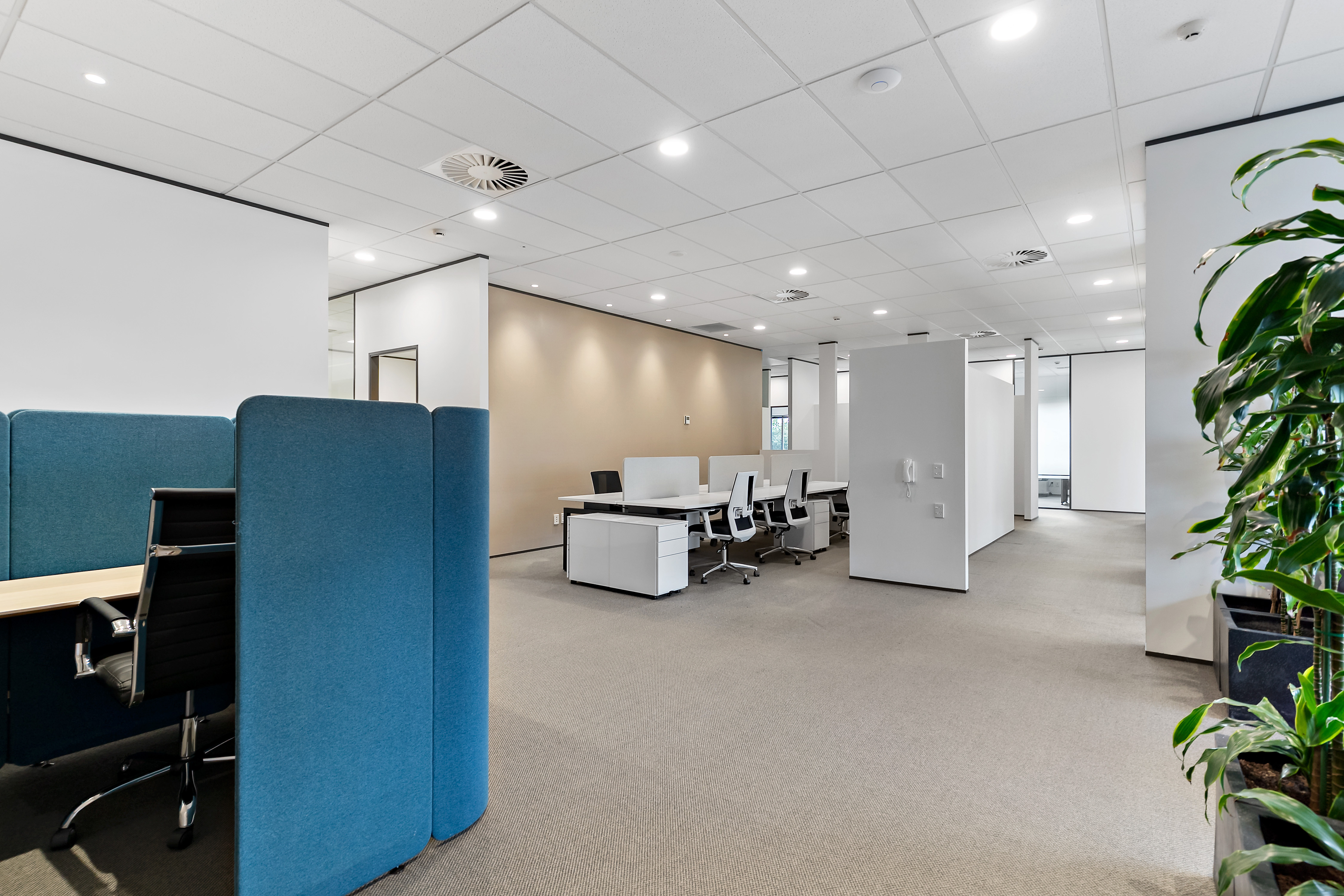 Thinkspace Botany workspace with acoustic screens and greenery