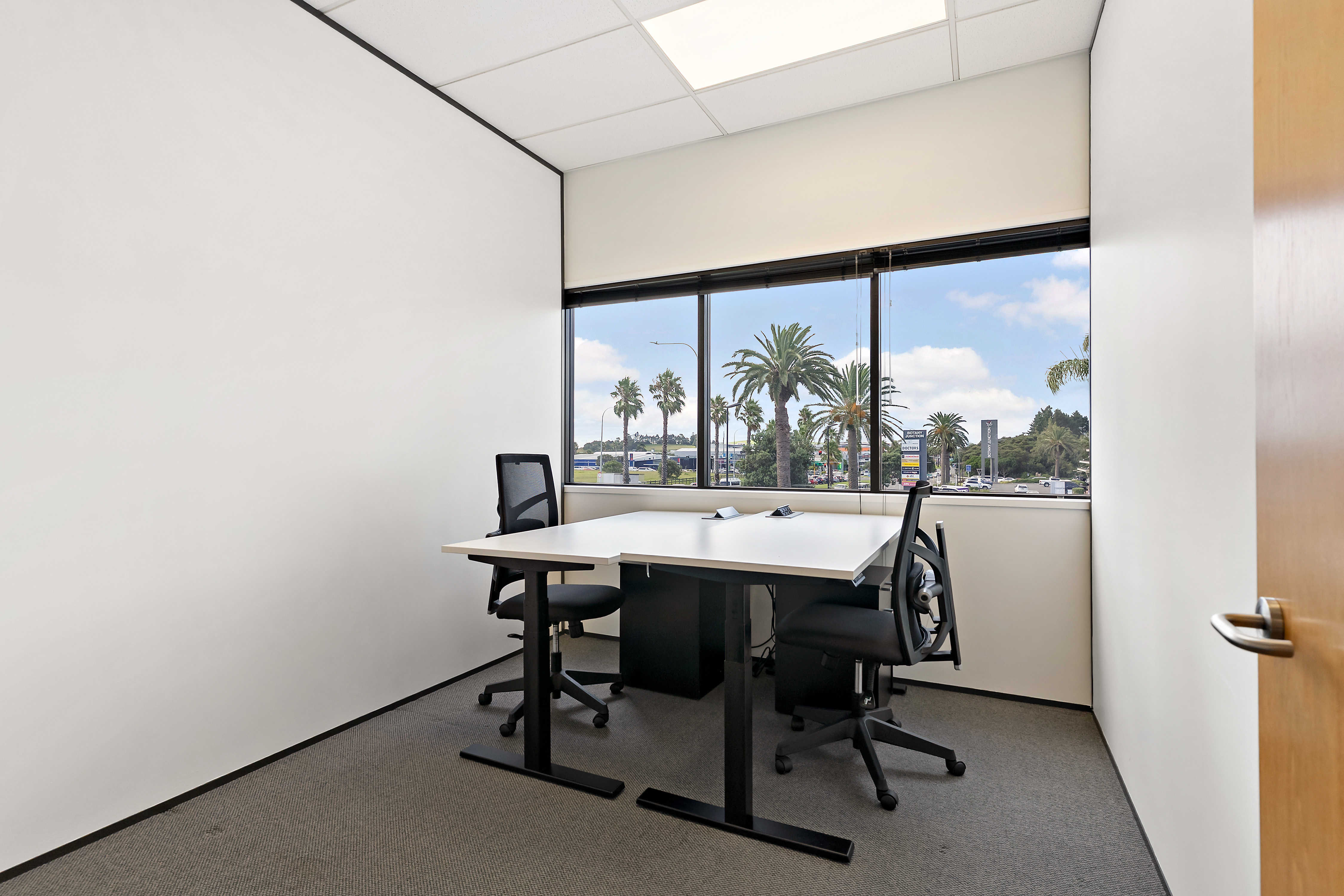Thinkspace Botany partitioned private office with palm tree views