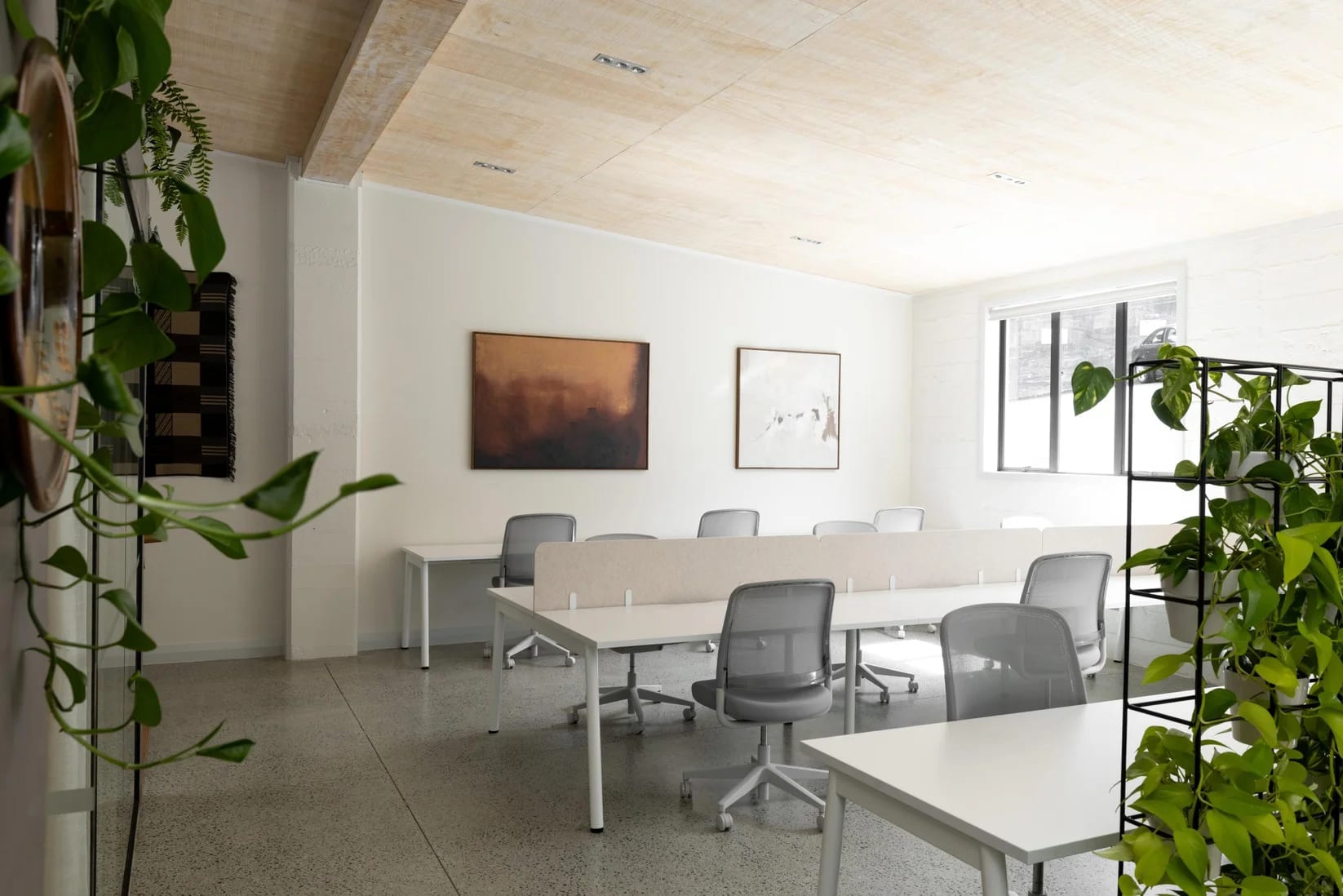 Open-plan desks with acoustic screens and artwork at Thinkspace Grafton