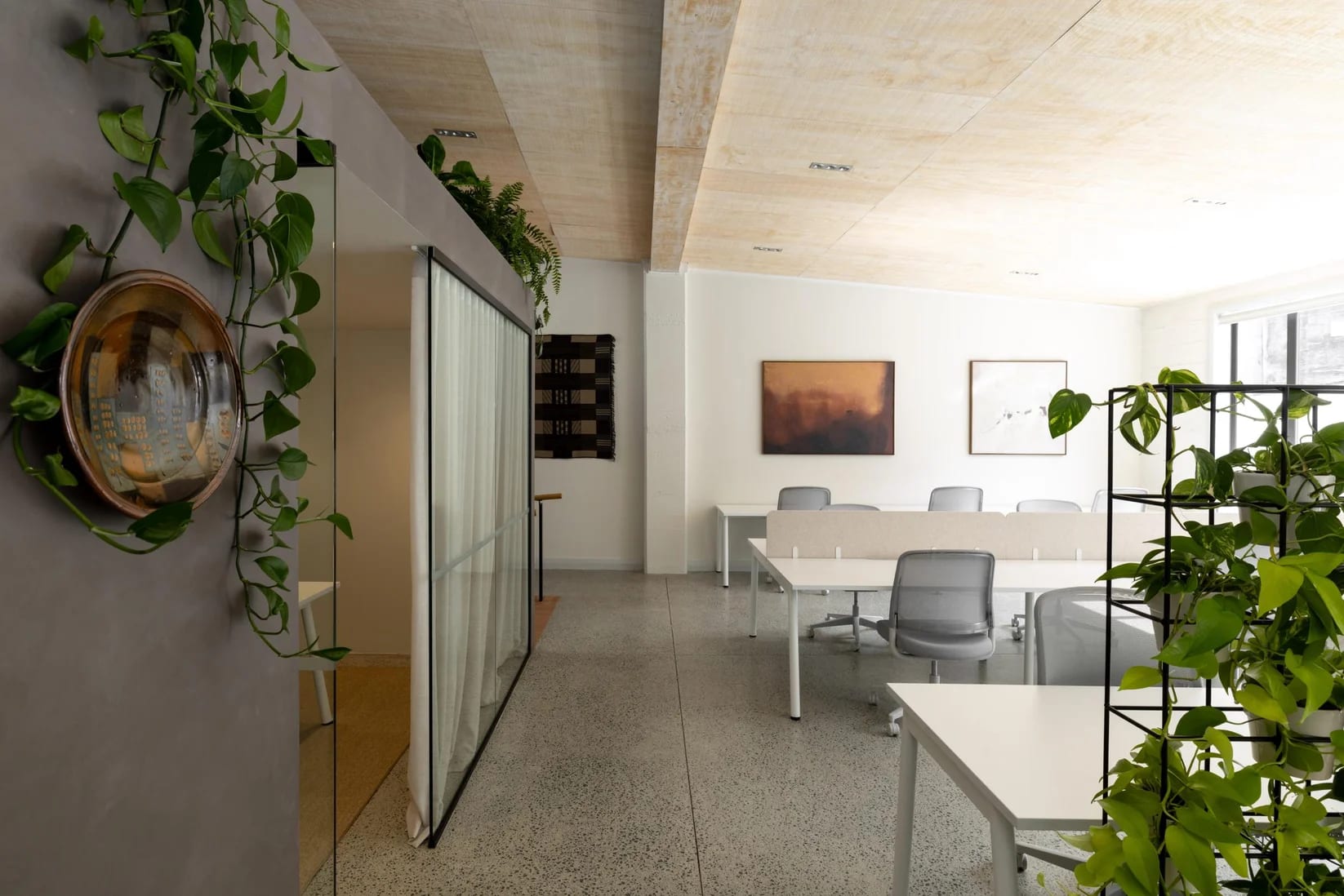 Open-plan floor beside the glazed meeting room at Thinkspace Grafton