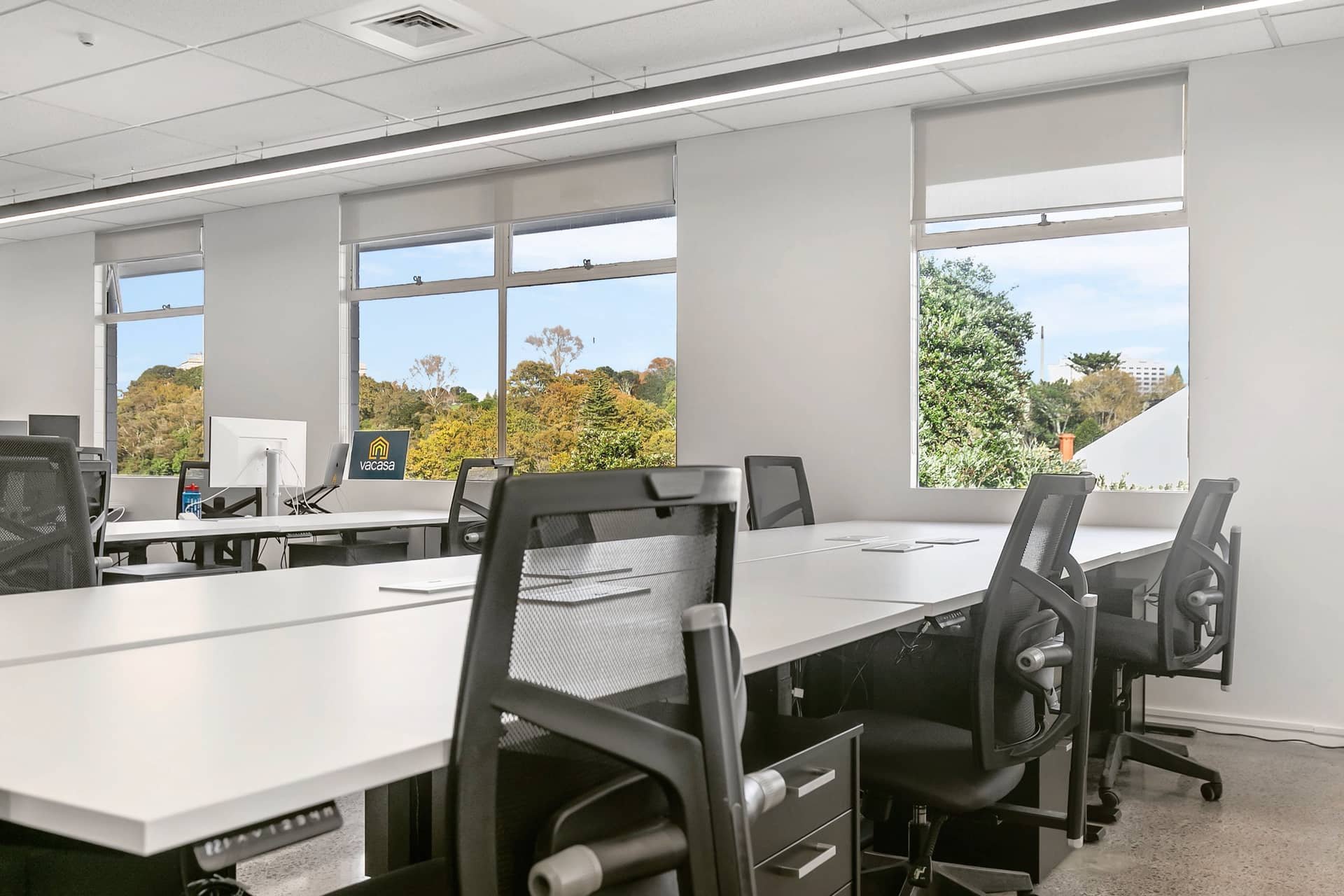 Thinkspace Morningside coworking space opening soon at 14 McDonald Street, Auckland