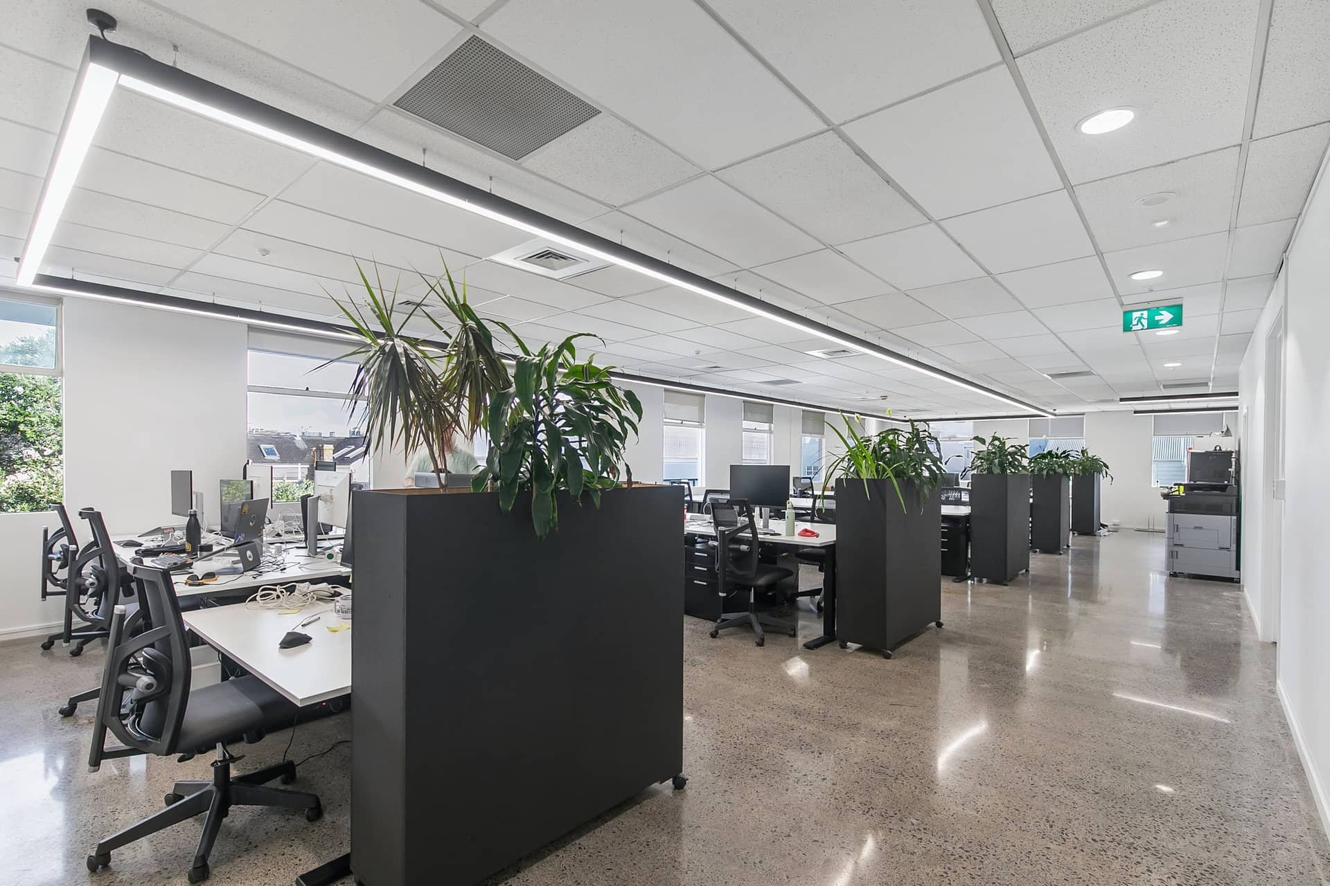 Thinkspace Morningside coworking space opening soon at 14 McDonald Street, Auckland